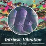 Intrinsic Vibration EP