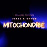 Mitochondrie