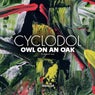 Owl On An Oak