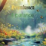 I balance