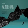 Wondering
