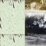 Slender Threads Soon Disappearing / The Walnut