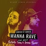 Wanna Rave (Roberto Fenu & Spirro Remix)