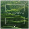 Visual Perception