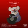 Secret Remix EP