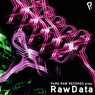 Pure Raw Records presents RawData