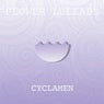 Cyclamen