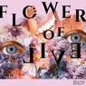 Flower of Evil
