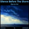 Silence Before The Storm (Christian Schenck Remix)