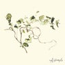 Vines