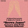 Brown James (Alex Kenji Rmx)