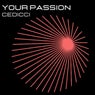 Your Passion