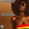 Soulful Evolution The Best of 2025