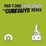I'm So Crazy (The Cube Guys Remix)
