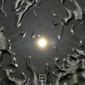 Lucid Visions