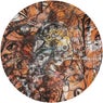 Reminisce Ep