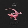 City Lights (feat. Lunna)