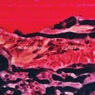 Liturgia