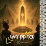 Why Did You