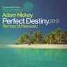 Perfect Destiny [Remixed & Reissued]