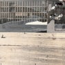 Persona Non Grata