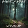 Enchanted Forest