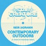 Contemporary Outdoors (A Vision Of Panorama Remix)