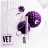 Vet