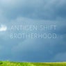 Brotherhood