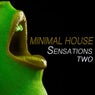 Minimal House Sensation, Two (25 Minimal DJ Tracks)