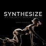 Synthesize (Radio Edit)