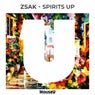 Spirits Up (Extended Mix)