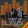 Pump Up the Volume, Vol. 2 (The Finest in Progressive House)