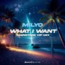 What I Want (Mainstage VIP Mix) (Extended Mix)