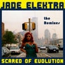 Scared of Evolution: The Remixes