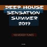 Deep House Sensation Summer 2019: 100 Moody Tunes