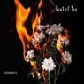 Heat of You