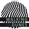 Walking Dunes