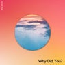 Why Did You?