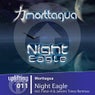 Night Eagle