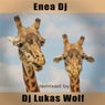 Remixed by DJ Lukas Wolf