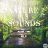 Nature Sounds - Madre Terra, Vol. 01