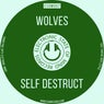 Self Destruct