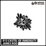 Castel Of Inmensity