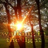 Walking In The Light (Vibe House Music)