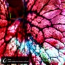 Clear Conceptions 30