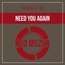 Need You Again