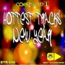Hottest Tracks New Year  - Compiled 1