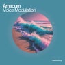 Voice Modulation