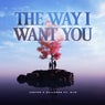 The Way I Want You (feat. Giin) (Extended Mix)